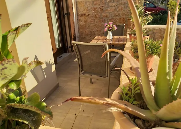 Apartmán Elezar Néon Oítilon