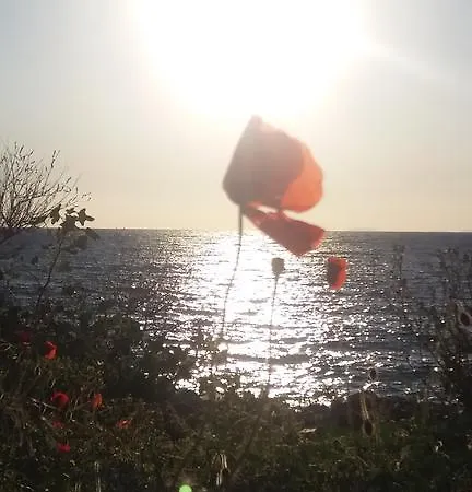 Elezar דירה *