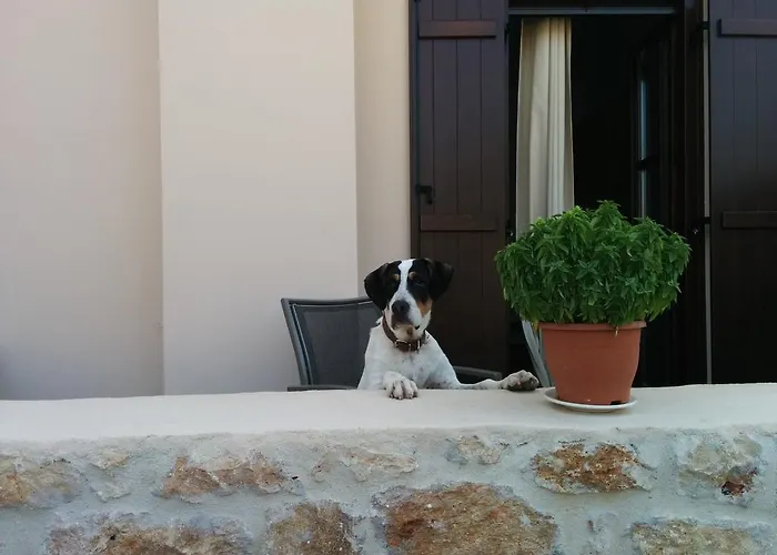 Διαμέρισμα Elezar Νεόν Οίτιλον