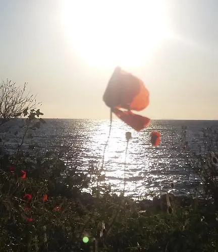 Elezar Διαμέρισμα *